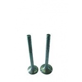 Клапан выпускной  ( МАЛЫЙ )