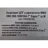 Комплект ЦПГ к двигателям ММЗ Д-245/260 ЕВРО-1 d=42 группа "М" (Г+П+УК) (КМЗ)