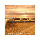 Вал кривошипа