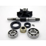 Р/к водяного насоса СМД-14/22 ( вал, подшипник, крыльчатка, пл.) ( н/о )