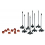 Комплект клапанов c маслосъемными колпачками ( впускных 4,выпускных 4,манжеты клапана 8 )