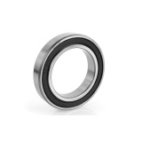 180113С17 (6013 2RS) "APP-GROUP" (40)