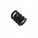 Пружина (60284) ТР