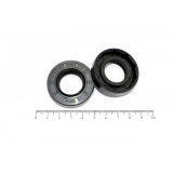 Сальник 2,2-22х40 "Чайковский"