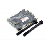 Болт ГБЦ класс прочности 10.9 Мпа ( длинный ) ( Упак.- 10 шт. )