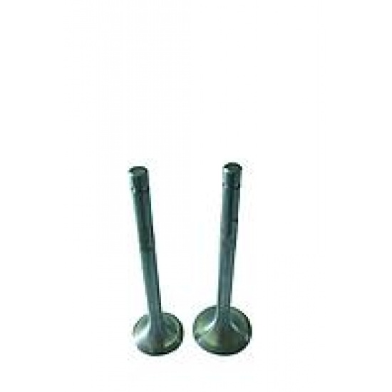 Клапан выпускной  ( МАЛЫЙ ) - 1