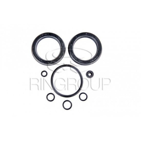 Р/к гидроцилиндра вариатора молотильного барабана ( на 2 цил. ) ГА-76020В/76010А СК-5 НИВА - 1