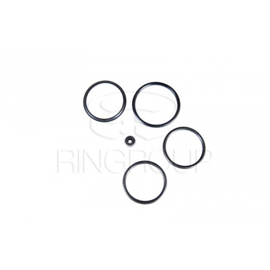 Р/к гидроцилиндра вариатора барабана РСМ-10.09.01.010 ДОН - 1