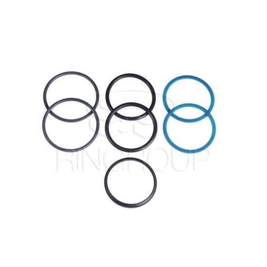 Р/к гидроцилиндра подъема жатки РСМ-10.09.02.100Б ( с грязесъемником ) ДОН - 1