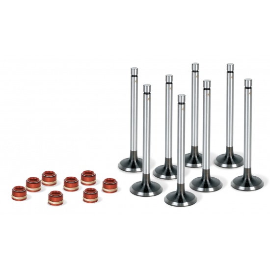 Комплект клапанов c маслосъемными колпачками ( впускных 4,выпускных 4,манжеты клапана 8 ) - 1