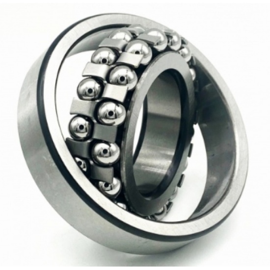 Подшипник 1309 СПЗ-7 - 1