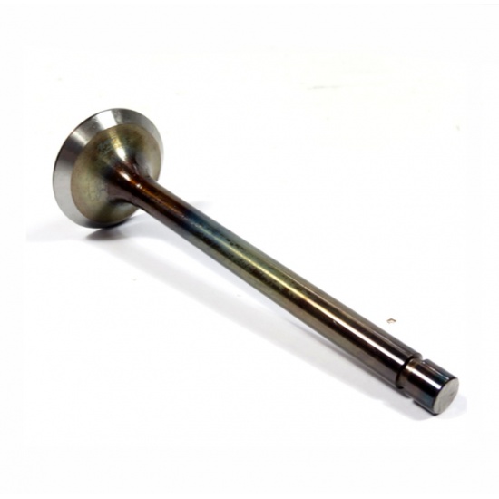 240-1007015-Б9 КЛАПАН ВЫПУСКНОЙ (АМЗ) - 1